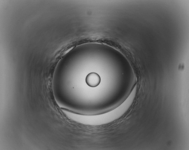 X0000112821349200908281521