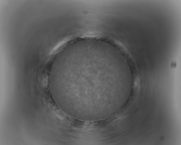 X0000112821350200908281521