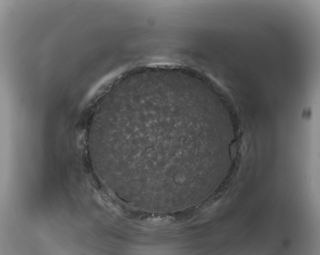 X0000112821351200908281521