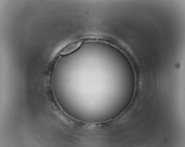 X0000112821352200908281521