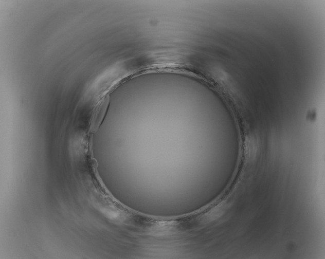 X0000112821353200908281521