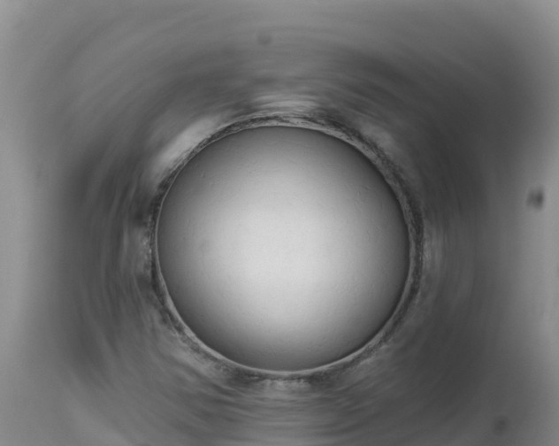 X0000112821354200908281521