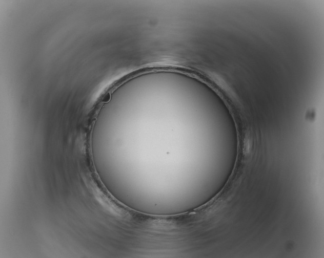 X0000112821356200908281521