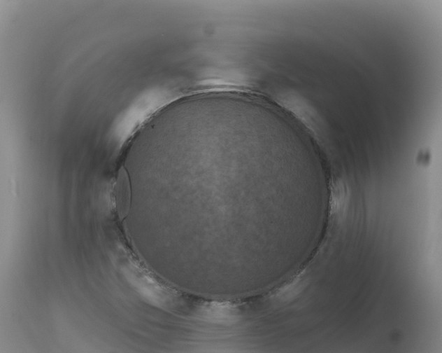 X0000112821357200908281521