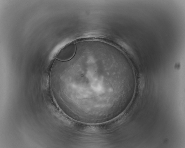 X0000112821358200908281521