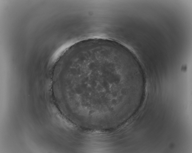 X0000112821359200908281521