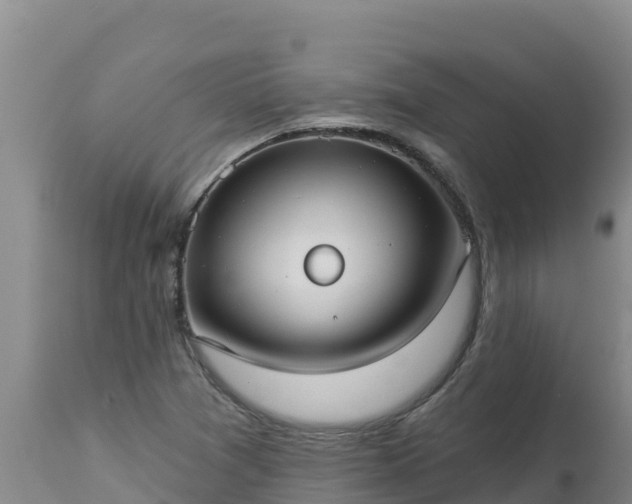 X0000112821361200908281521