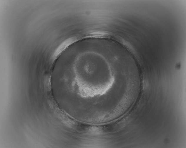 X0000112821362200908281521