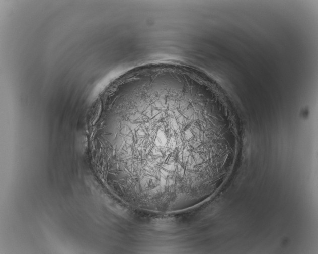 X0000112821363200908281521