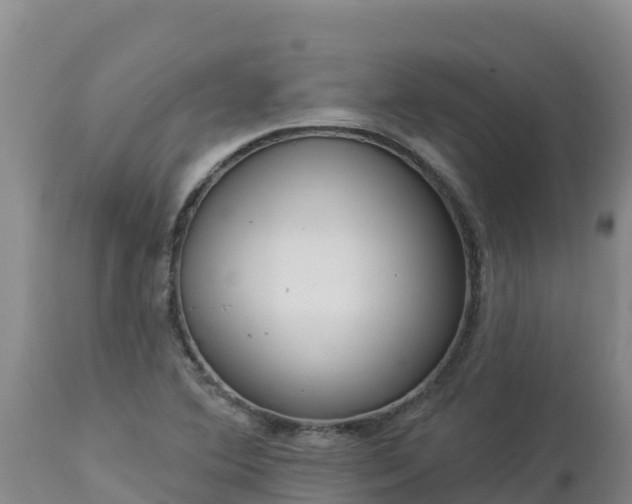X0000112821364200908281521