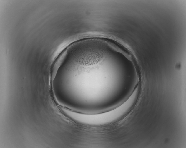 X0000112821365200908281521