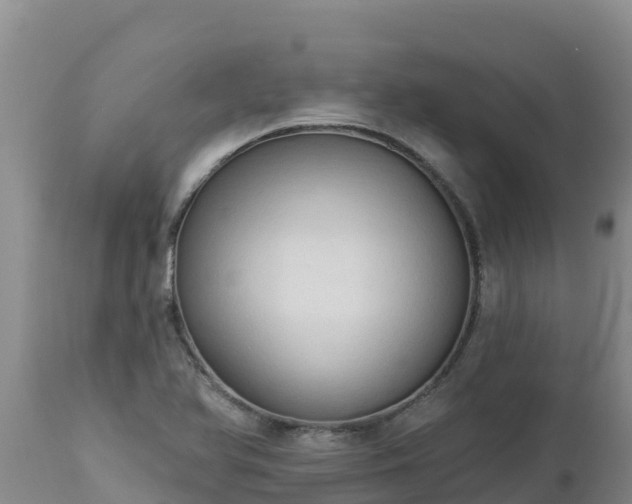 X0000112821366200908281521
