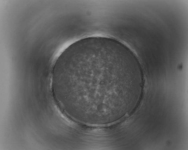 X0000112821367200908281521