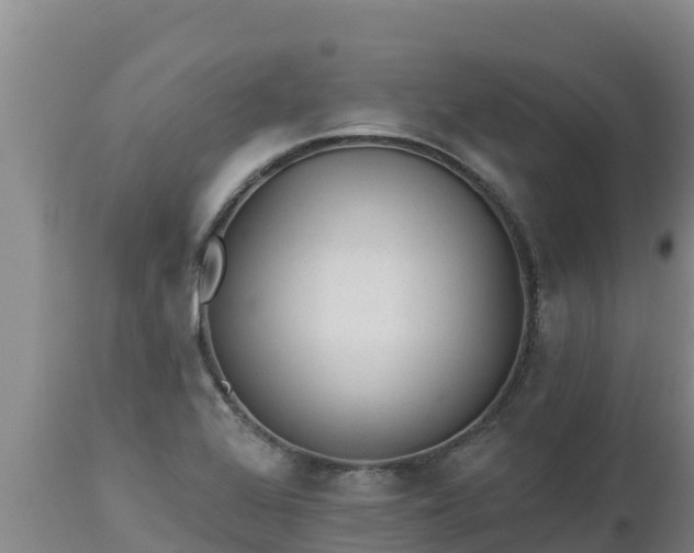 X0000112821368200908281521