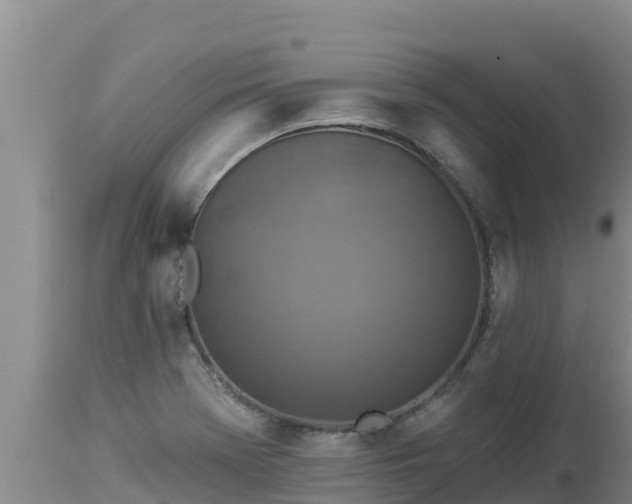 X0000112821369200908281521