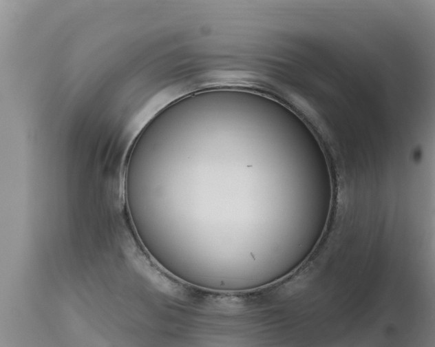 X0000112821370200908281521
