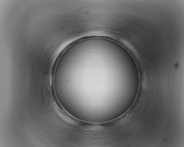 X0000112821372200908281521