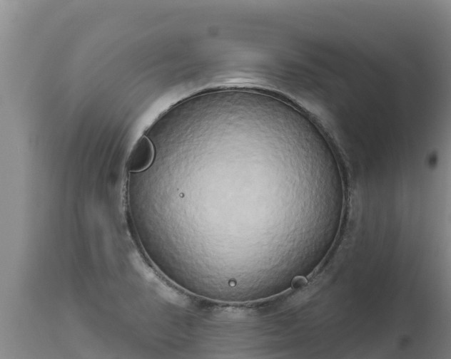 X0000112821374200908281521