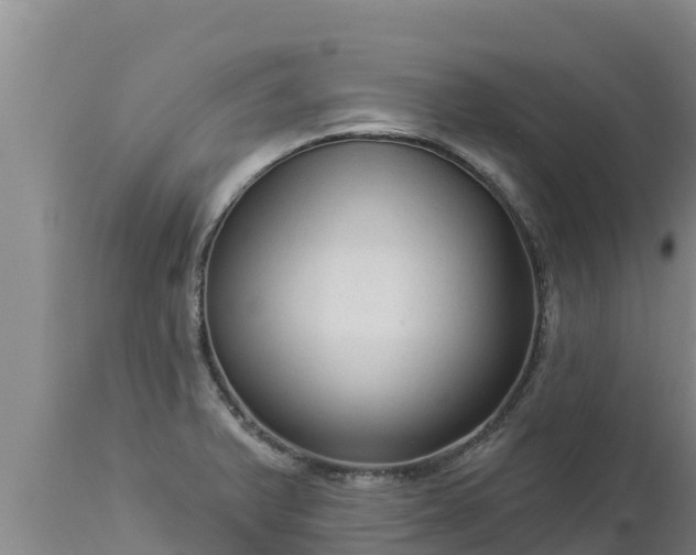 X0000112821375200908281521