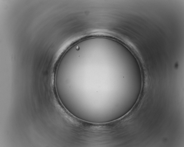 X0000112821376200908281521