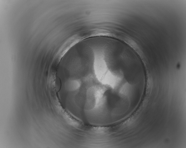 X0000112821377200908281521