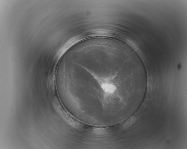 X0000112821378200908281521
