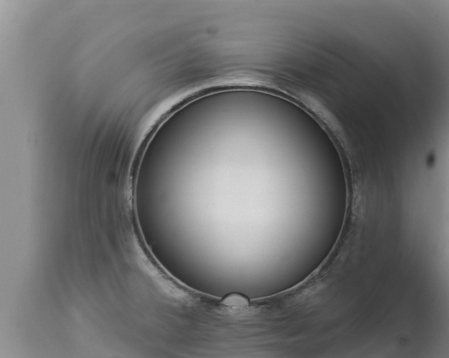 X0000112821380200908281521