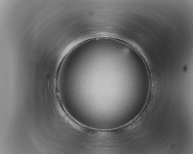X0000112821381200908281521