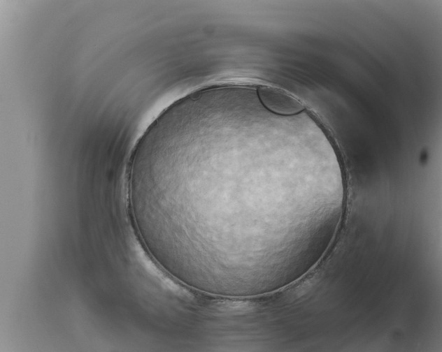 X0000112821382200908281521