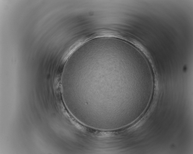 X0000112821385200908281521