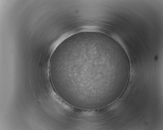 X0000112821386200908281521
