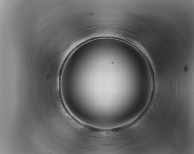 X0000112821388200908281520