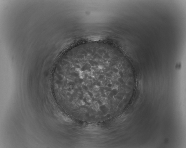X0000112821393200908281520