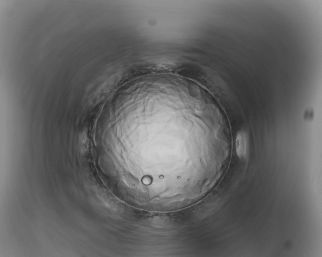 X0000112821395200908281520
