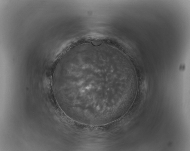X0000112821397200908281520