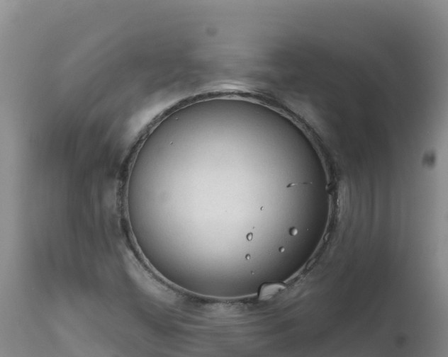 X0000112821404200908281520