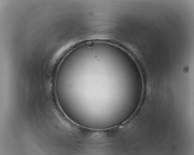 X0000112821406200908281520