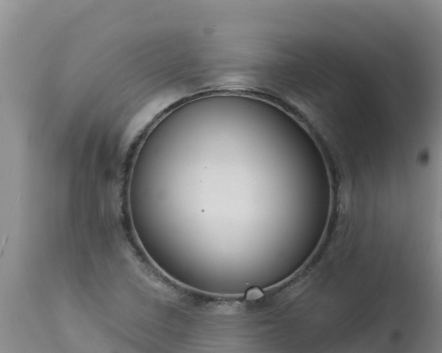X0000112821410200908281520