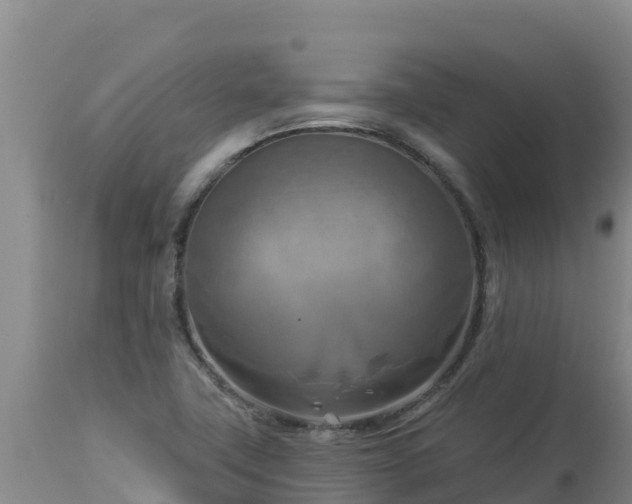 X0000112821411200908281520