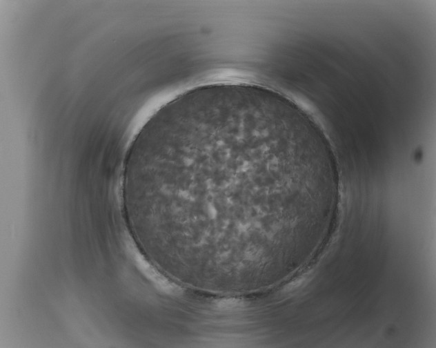 X0000112821421200908281520