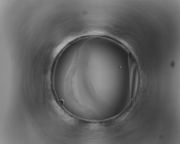 X0000112821422200908281520