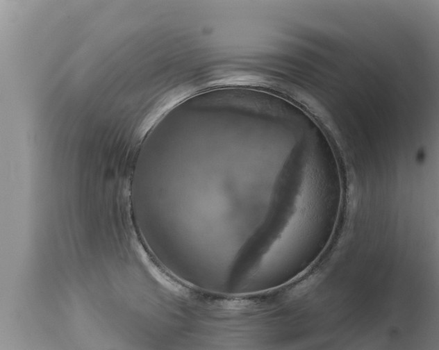 X0000112821425200908281520