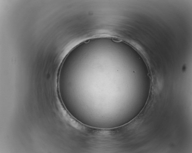 X0000112821431200908281520