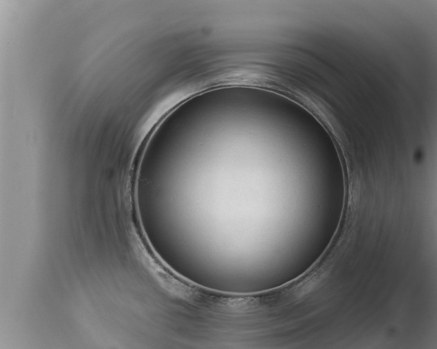 X0000112821434200908281520