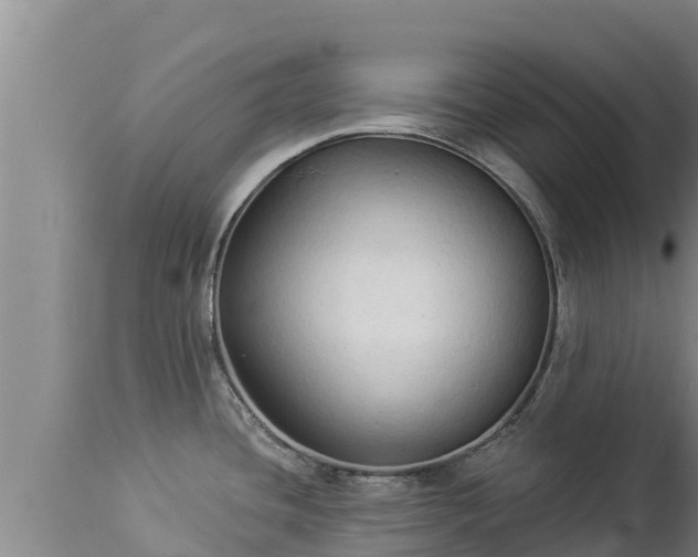 X0000112821436200908281520