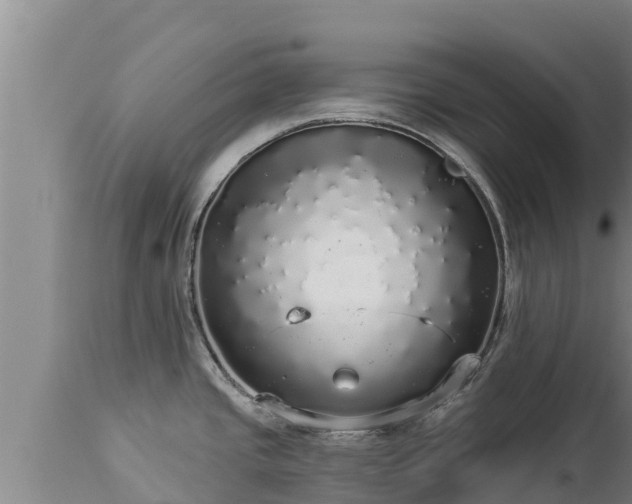 X0000112821437200908281520