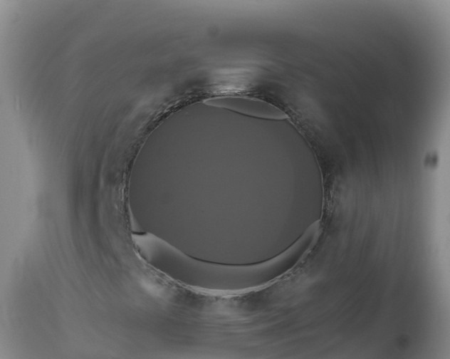 X0000112821441200908281520