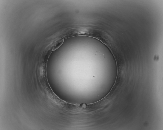 X0000112821442200908281520