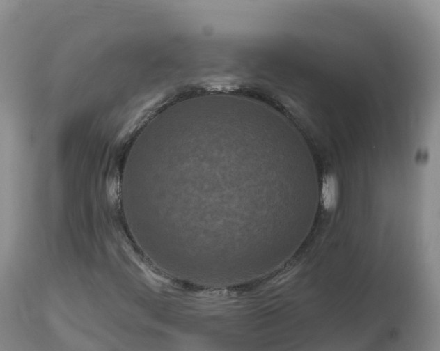 X0000112821444200908281520