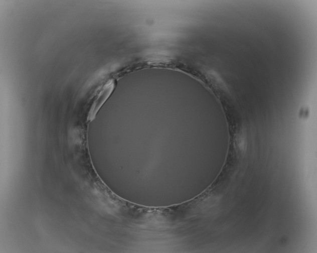 X0000112821445200908281520